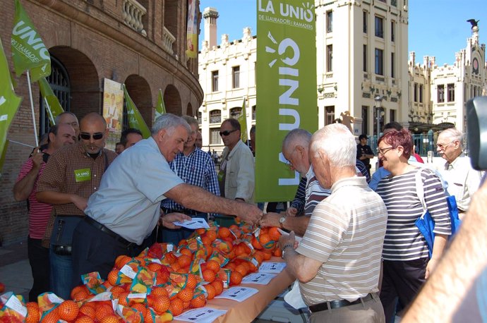 Regalo de naranjas en Valencia