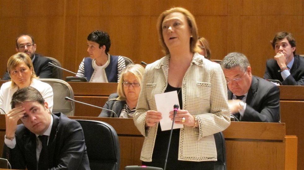 Rudi este viernes en su intervención en el pleno