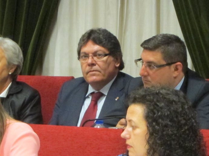 El alcalde de Albox y diputado provincial, Rogelio Mena (PSOE)