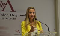 Asamblea Regional aprueba este miércoles una moción para que el CERMI se incorpore al Consejo Económico y Social