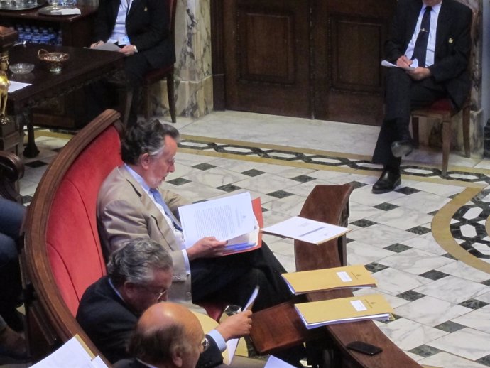 Grau sentado en el pleno del Ayuntamiento de Valencia