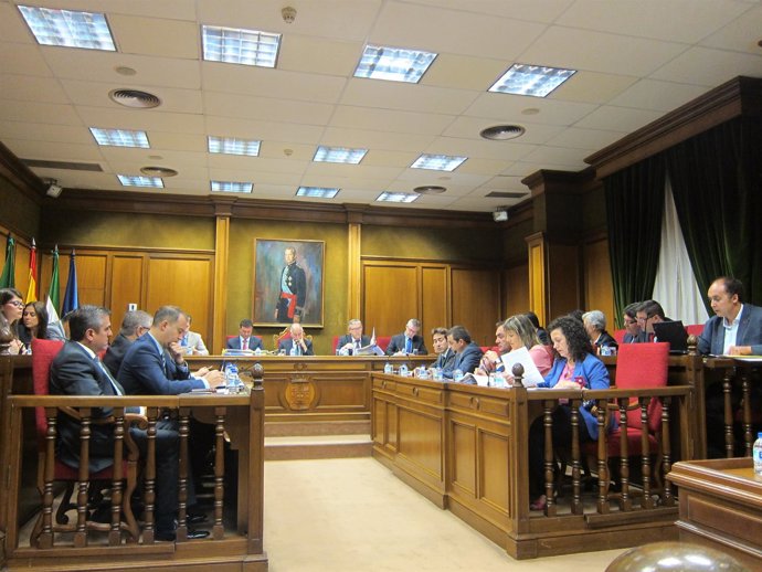 Pleno de la Diputación Provincial de Almería 