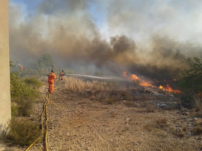 Brigadas de la Diputación de Valencia en las labores de extinción de un incendio