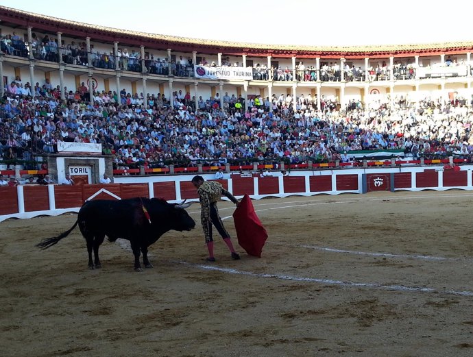 Antonio Ferrera en la plaza de toros de Cáceres