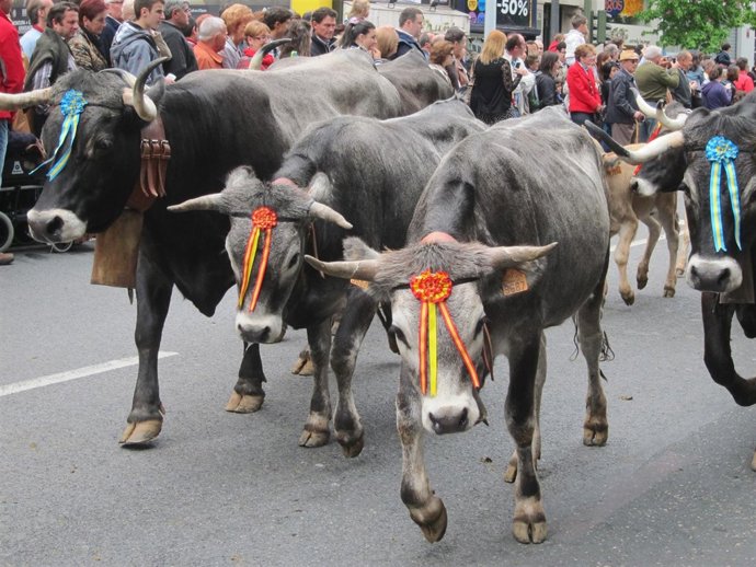 La 'pasá' en Santander