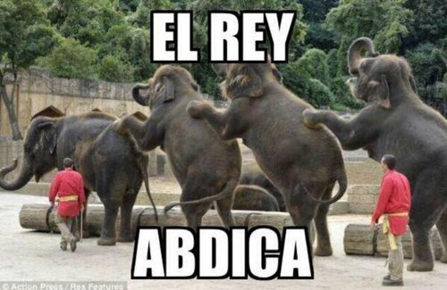 Meme con elefantes sobre la abdicación del Rey