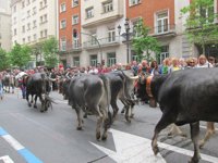 De la Serna dice que la seguridad de la 'pasá' fue la "misma" o "mayor" que en otras de Cantabria o Madrid