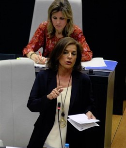 Ana Botella en el Pleno