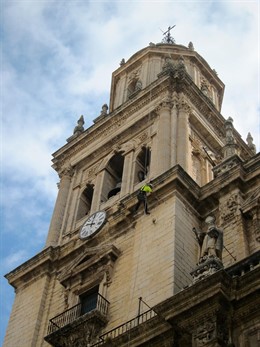 Un operario de Vertikaless quita vegetación de una de las torres de la Catedral.