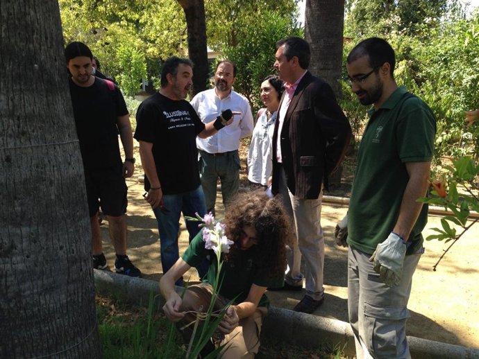 Espadas en la escuela de Jardinería.
