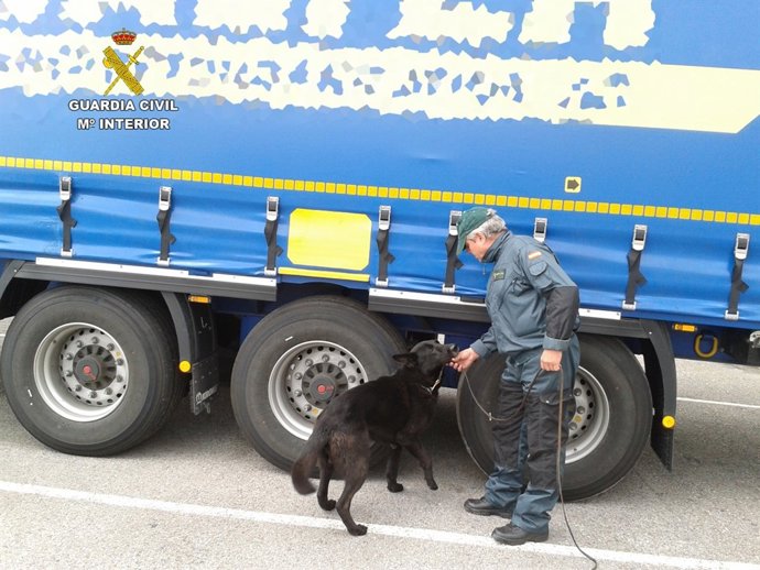 Control cinológico en el Puerto de Santander