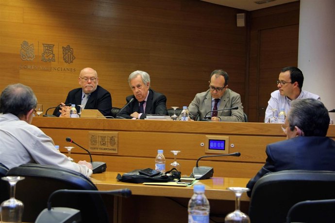 Comisión de investigación de la CAM.