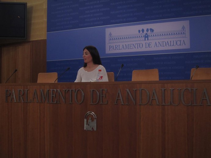 La portavoz de Bienestar Social del Grupo Popular en el Parlamento, Rosario Soto