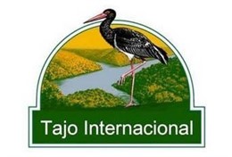 Tajo Internacional