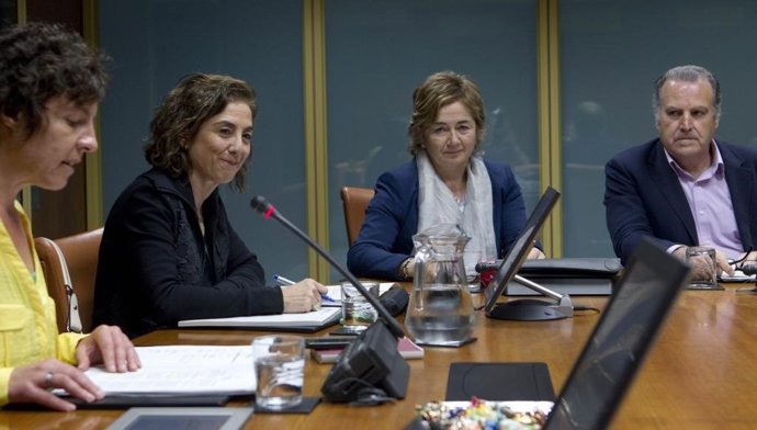 Comision parlamentaria