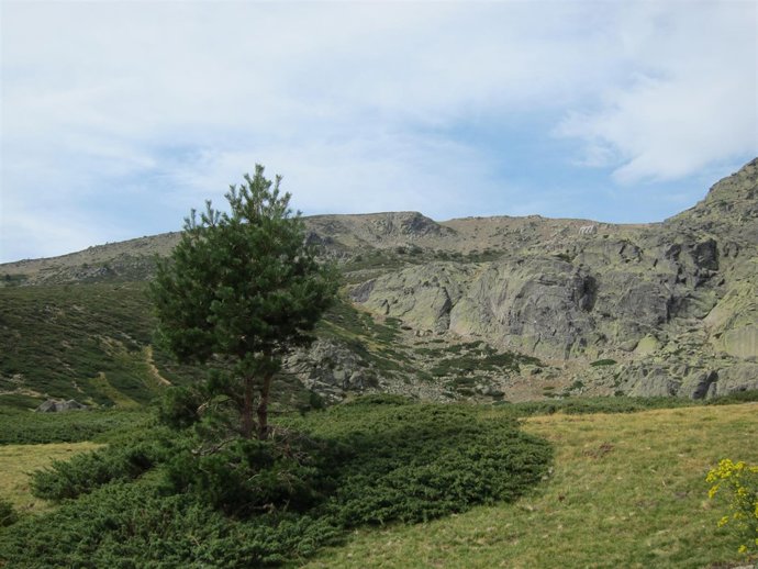 Parque Nacional de la Sierra de Guadarrama