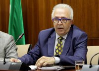 Maldonado informa este jueves en el Parlamento sobre la marcha de la revisión de subvenciones a UGT-A y a la Faffe