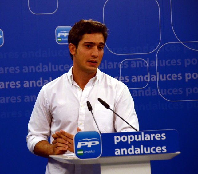 El presidente de las NNGG de Andalucía, Luis Paniagua