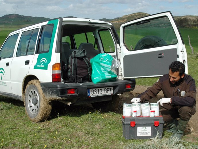 Agentes de medio ambiente con cebos envenenados