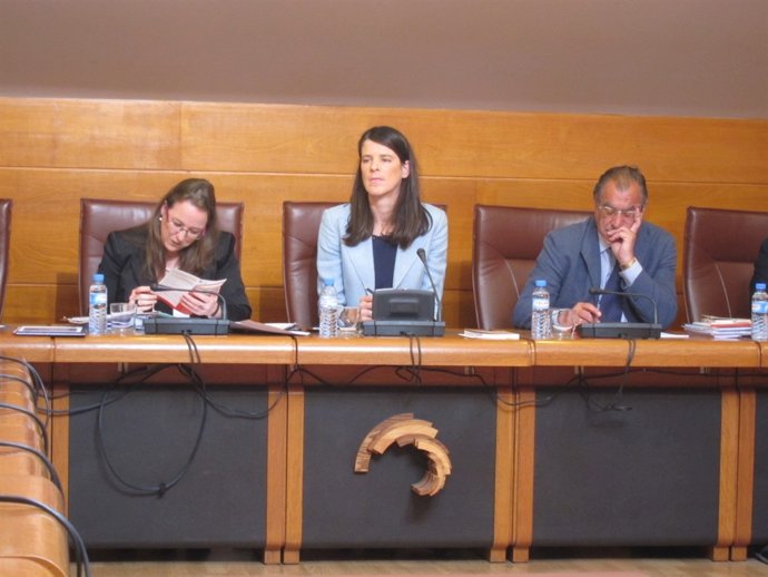 Comisión Presidencia y Justicia 