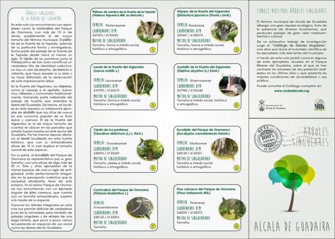 Cartel del catálogo 'Arboles singulares' de Alcalá de Guadaíra.
