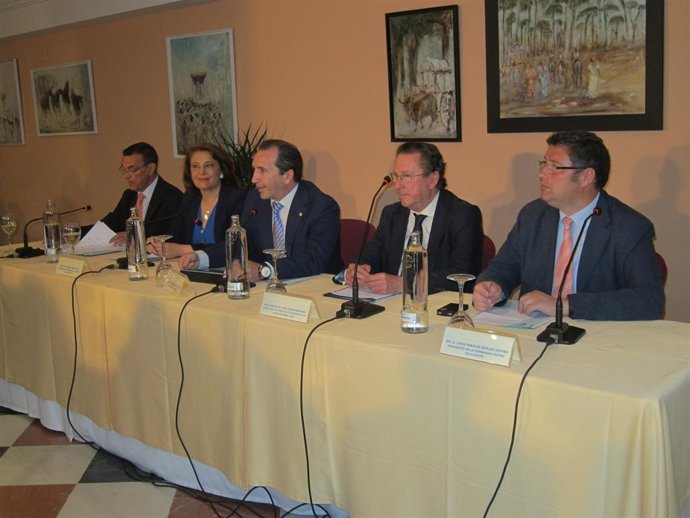 Presentación del Plan Aldea en El Rocío. 