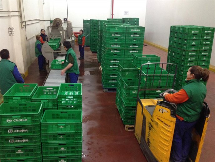 Medidas de reciclaje de Gadisa