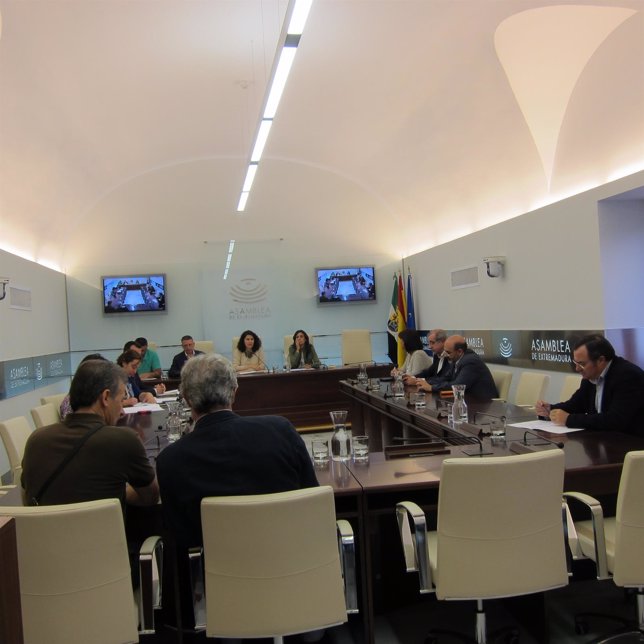 Comisión No Permanente de Estudio sobre la reforma electoral