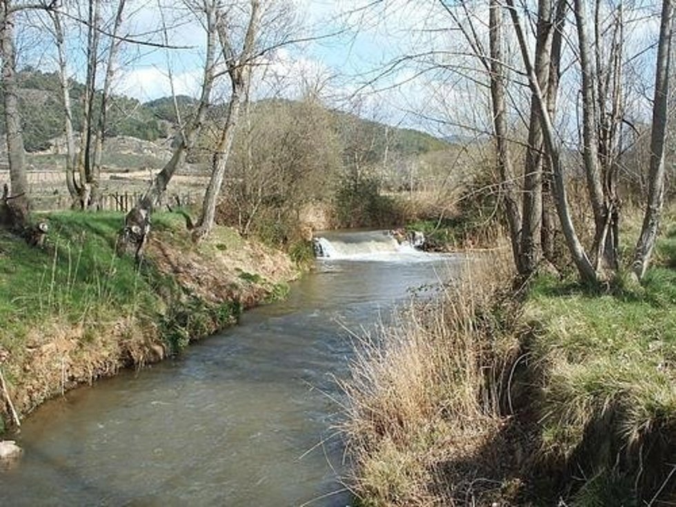 Uno de los tramos del río Jiloca a su paso por San Martín del Río.
