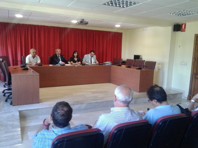 Reunión de los alcaldes de la Sierra de Cádiz con De Torre 