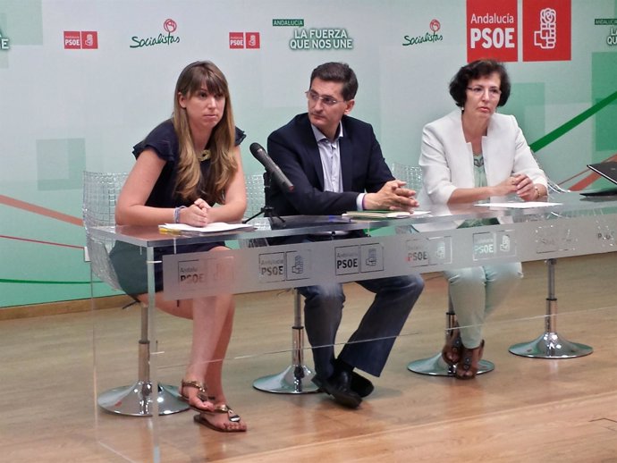 Jornada 'Por un sanidad pública' del PSOE