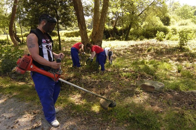 Desbrozar caminos, segar, campo