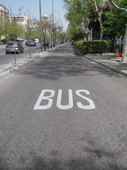 Carril Bus en la Castellana, Madrid