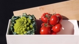 Los recipientes cerámicos Fizpílar 