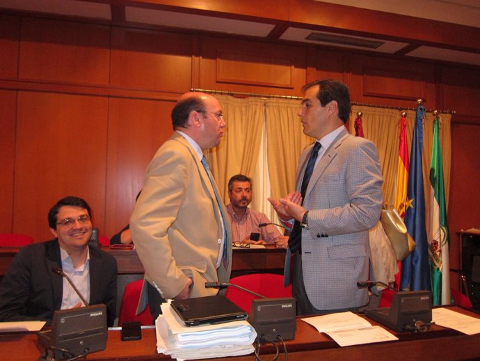 Pleno del Ayuntamiento con Bellido, Navas y Nieto, al fondo Torrico