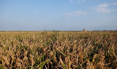 Cooperación y Desarrollo