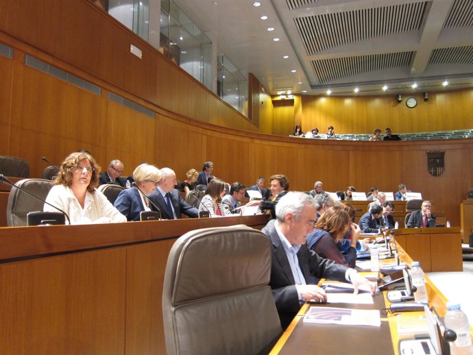 Unanimidad para garantizar una financiación "estable y suficiente" para la UZ.