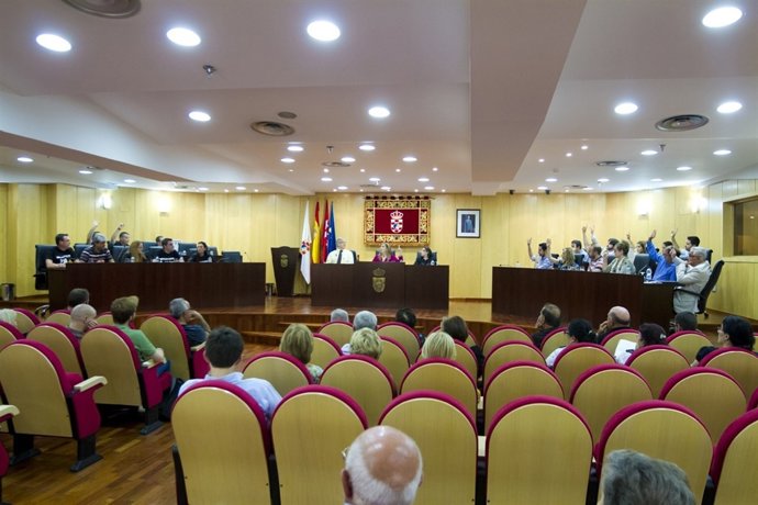 Pleno municipal