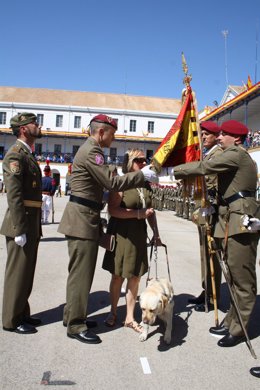 Una mujer jura bandera en Valencia
