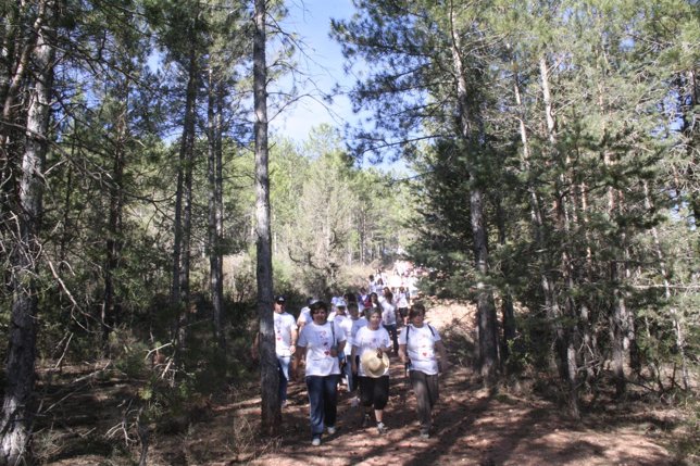 Marcha senderista contra el cáncer en Torres de Albarracín.