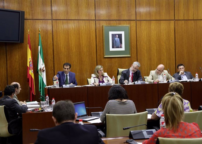 Comisión de Medio Ambiente y Ordenación del Territorio del Parlamento andaluz