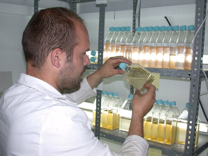 Un investigador de la UAL con un frasco de microalgas