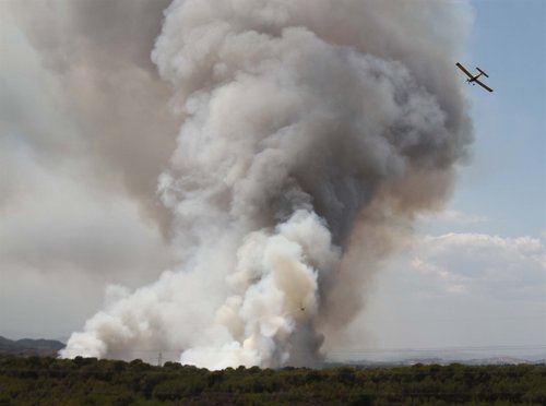 Incendio en la Vallesa
