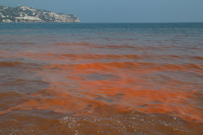 Marea Roja en la Bahía de la Herradura, en Almuñécar