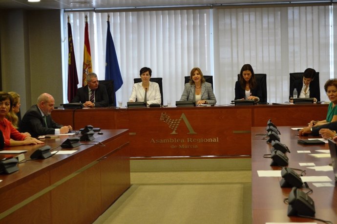 Comisión de Sanidad de la Asamblea Regional
