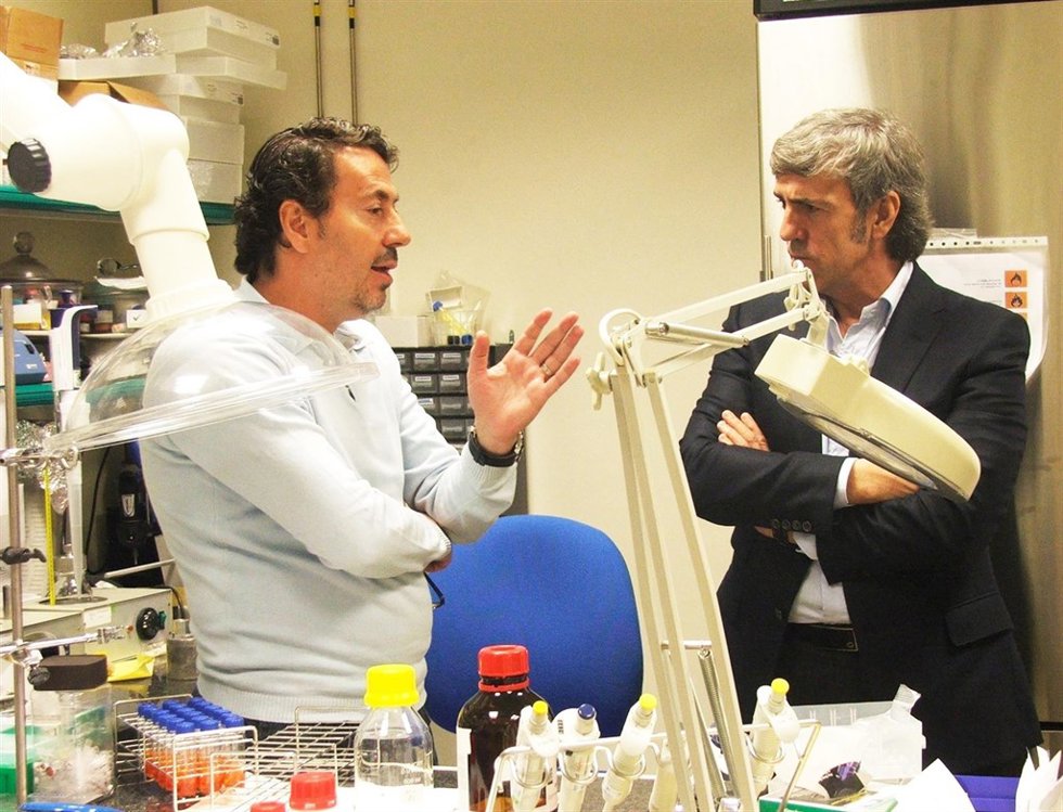 José Moro y Universidad Complutense de Madrid 