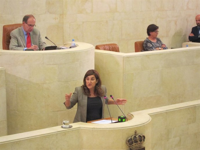 La consejera de Sanidad y Servicios Sociales, María José Sáenz de Buruaga