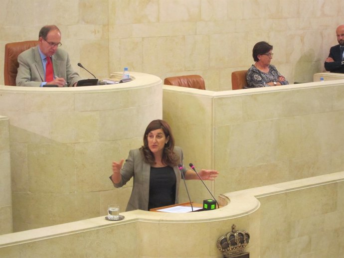 La consejera de Sanidad y Servicios Sociales, María José Sáenz de Buruaga