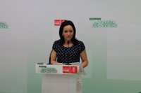 El PSOE-A exige "responsabilidad" a los alcaldes del PP-A y que no boicoteen los planes de empleo juvenil y de inclusión