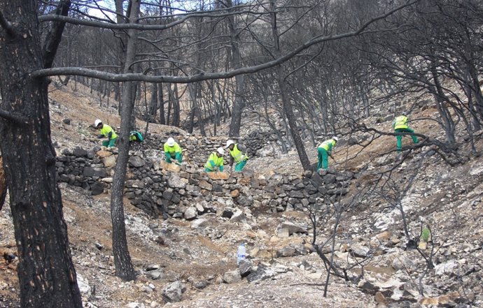 Trabajos de recuperación en el incendio de Andilla